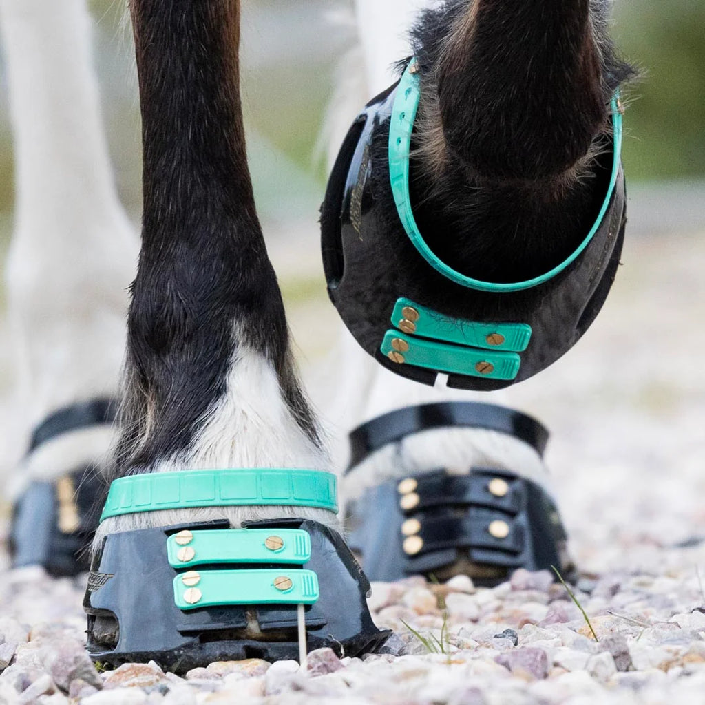 Pastern Straps