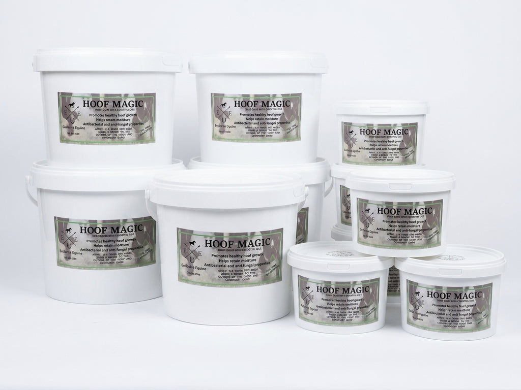 Hoof Magic – Premium Hoof Dressing