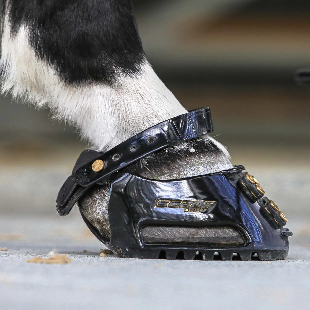 Scootboot Classic Pair